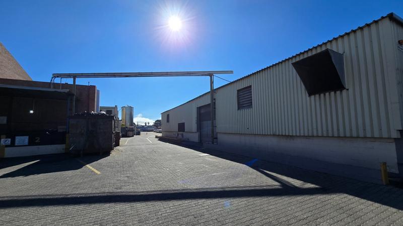 To Let commercial Property for Rent in Triangle Farm Western Cape